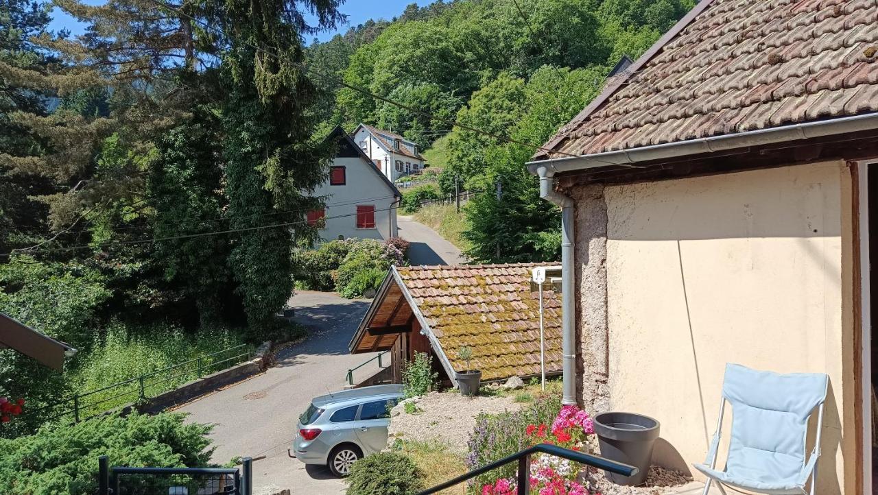 Studio A Murbach Au Calme المظهر الخارجي الصورة